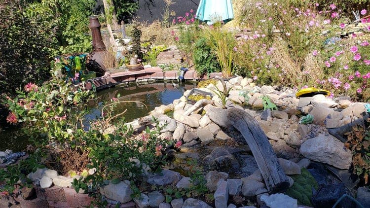 My Garden