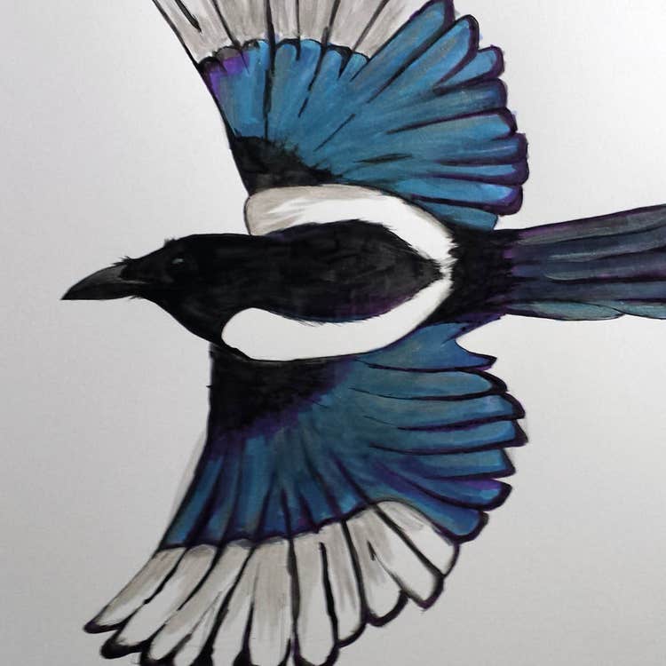Magpie
